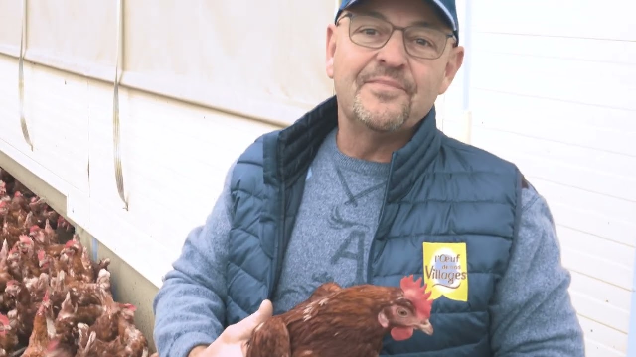 Une journée avec David, éleveur de poule pondeuse plein air dans le 81