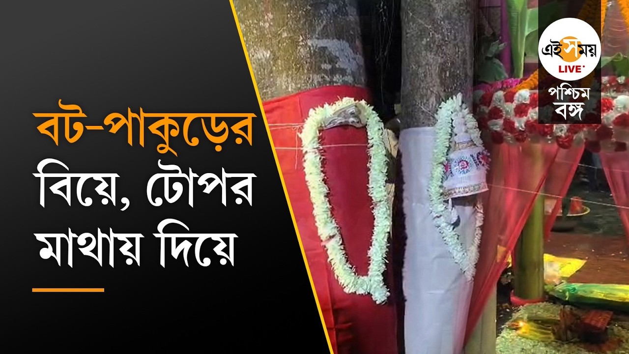Tree Marriage Rituals: ধূপগুড়িতে আজব বিয়ে! শাস্ত্রমতে বাঁধা পড়ল বট ও পাকুড় গাছ | Ei Samay