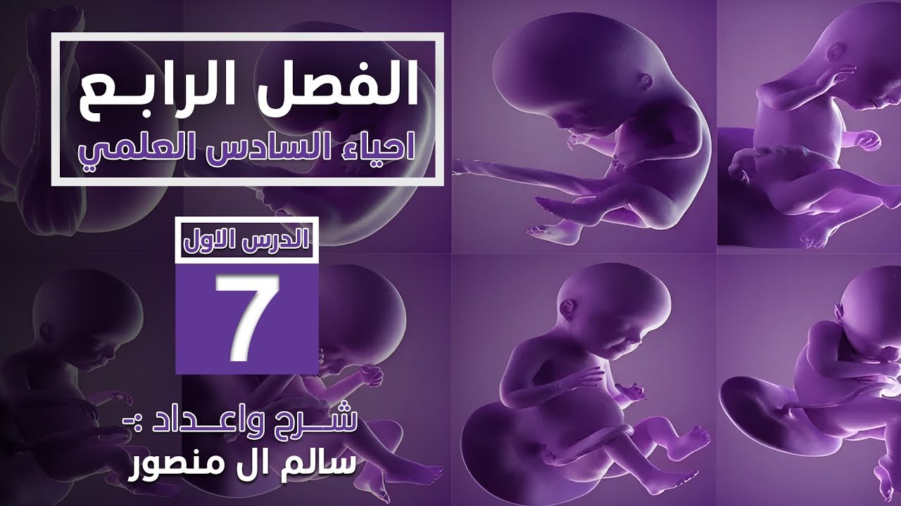 المحاضرة (7) | الخلايا الجذعية.