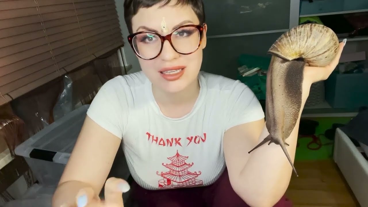 How to know if a Giant African snail doesn’t feel good /Snail care/ Petsnail care