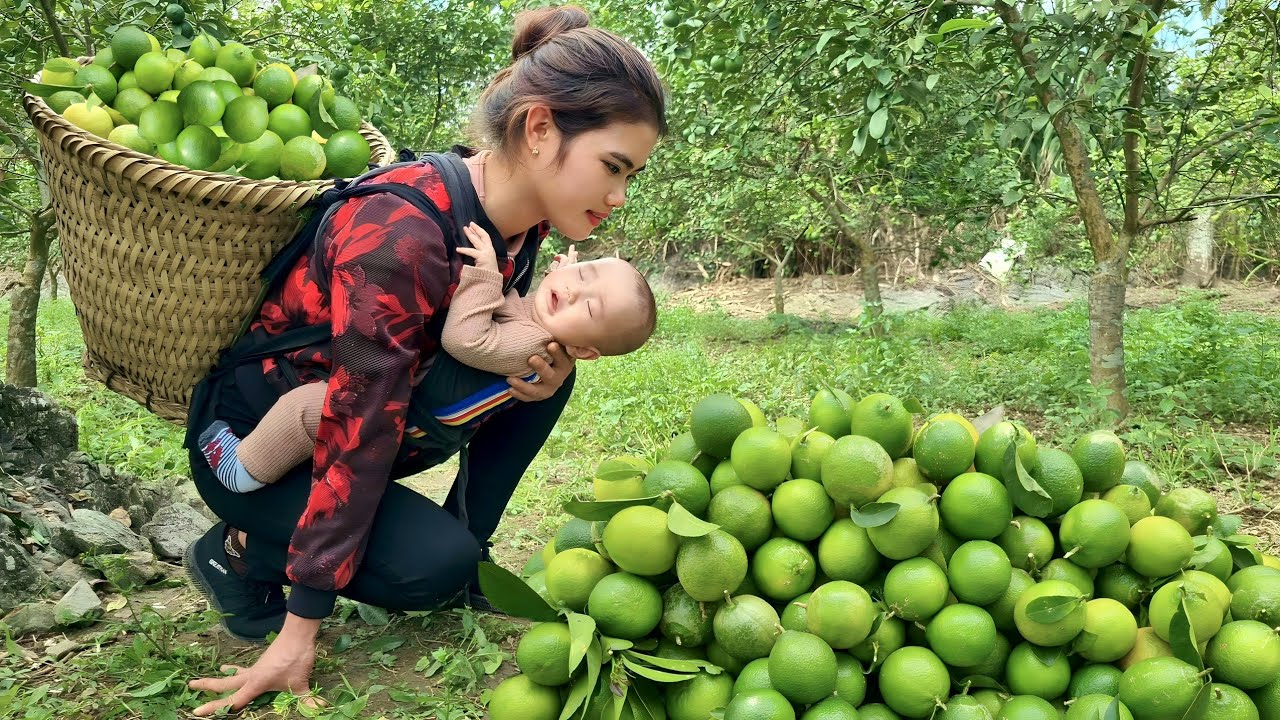 Harvesting Lemons from the garden and selling them at the market - Happiness with children & Cooking