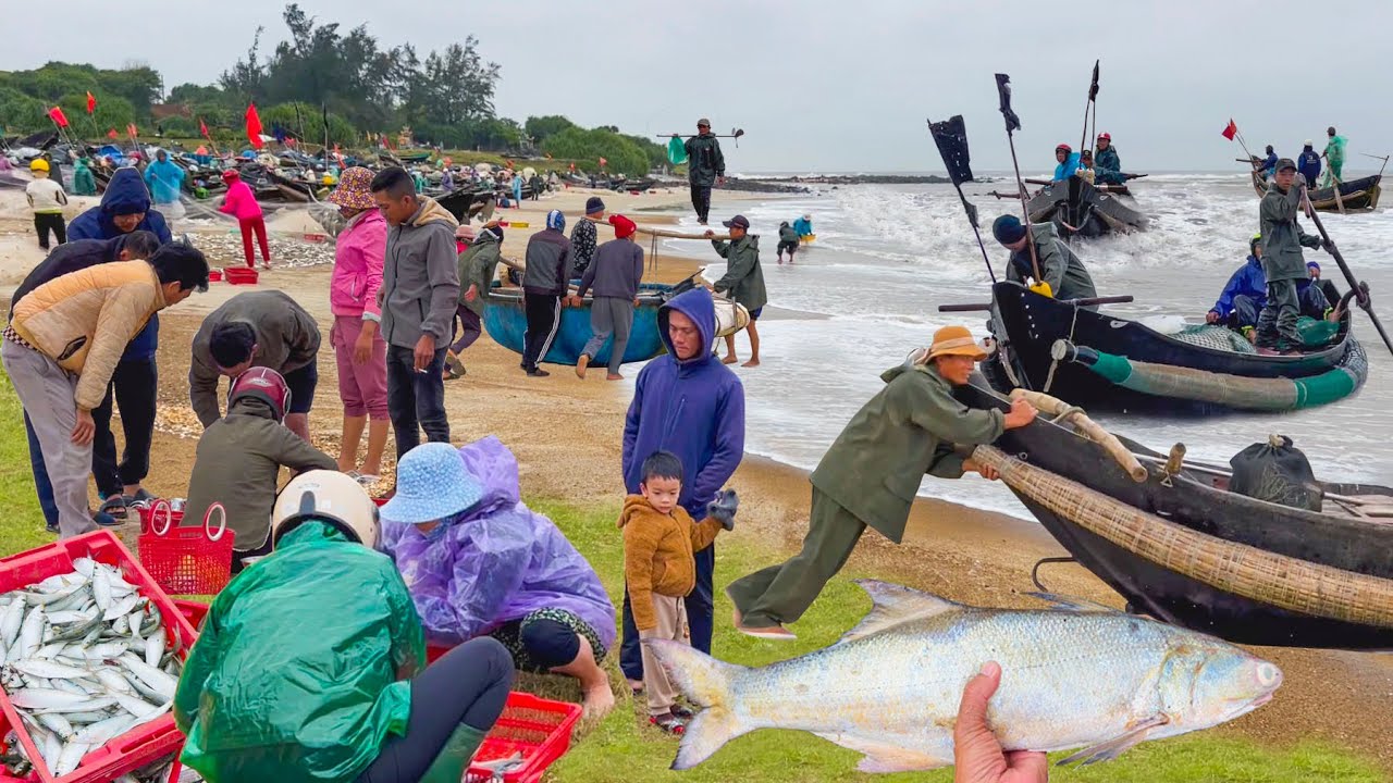 Ngư Dân Gặp Cá Ngứa 600 Ngàn 1kg Ở Vịnh Mốc Quảng Trị Giữa Trời Đông Giá Rét