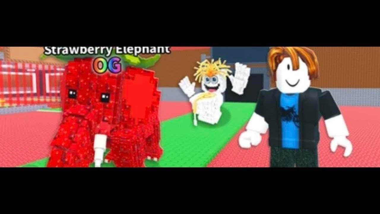 Doing pvps I will only use noobini user hamzagaming8094