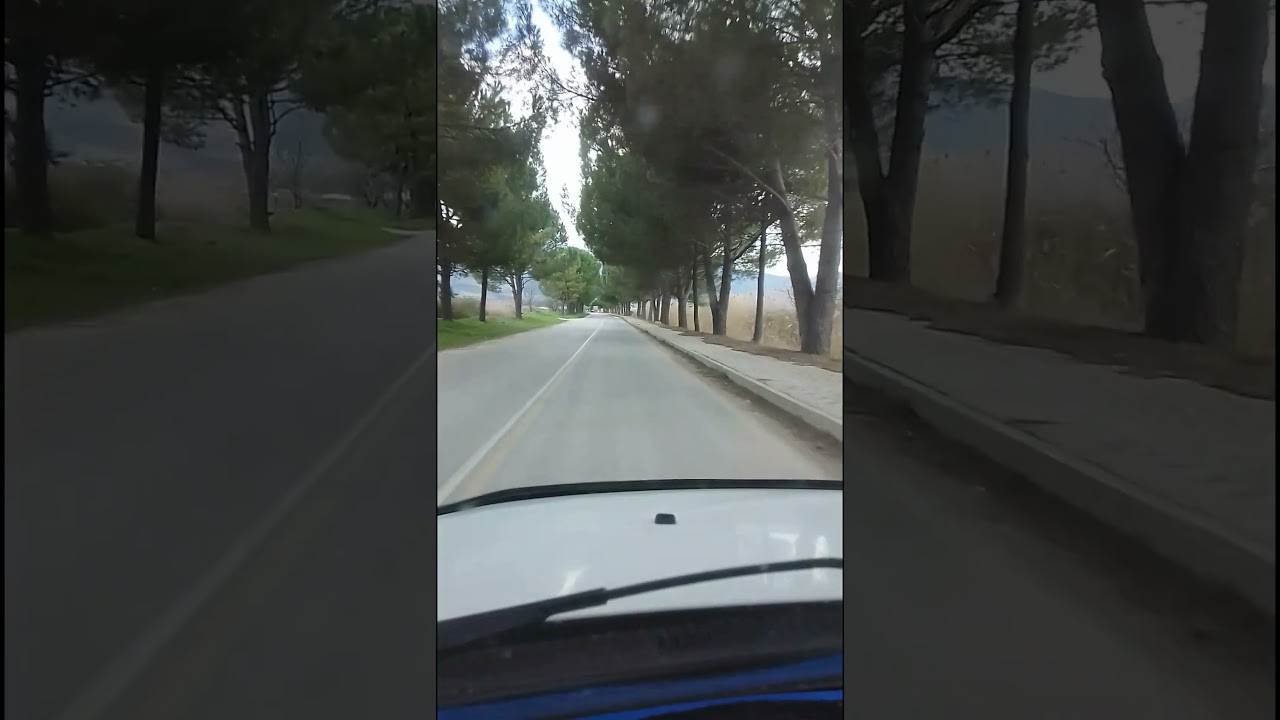 sakarya / PAMUKOVA