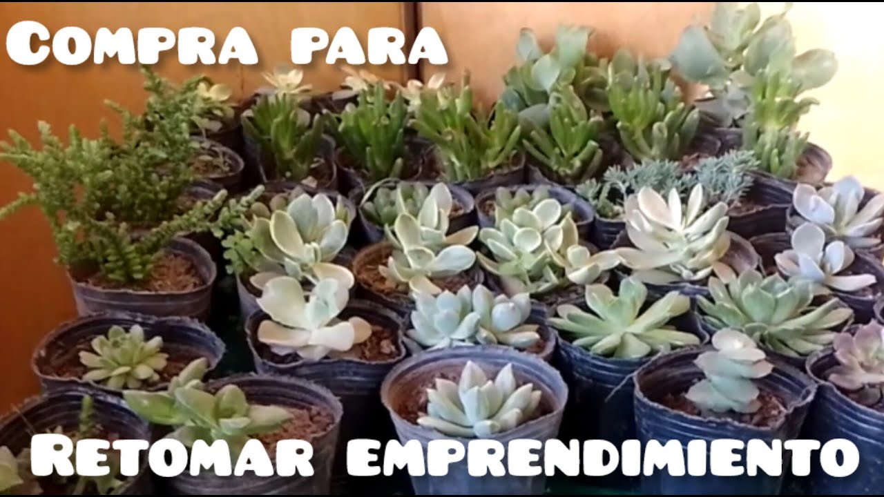 COMPRA PARA EMPRENDIMIENTO