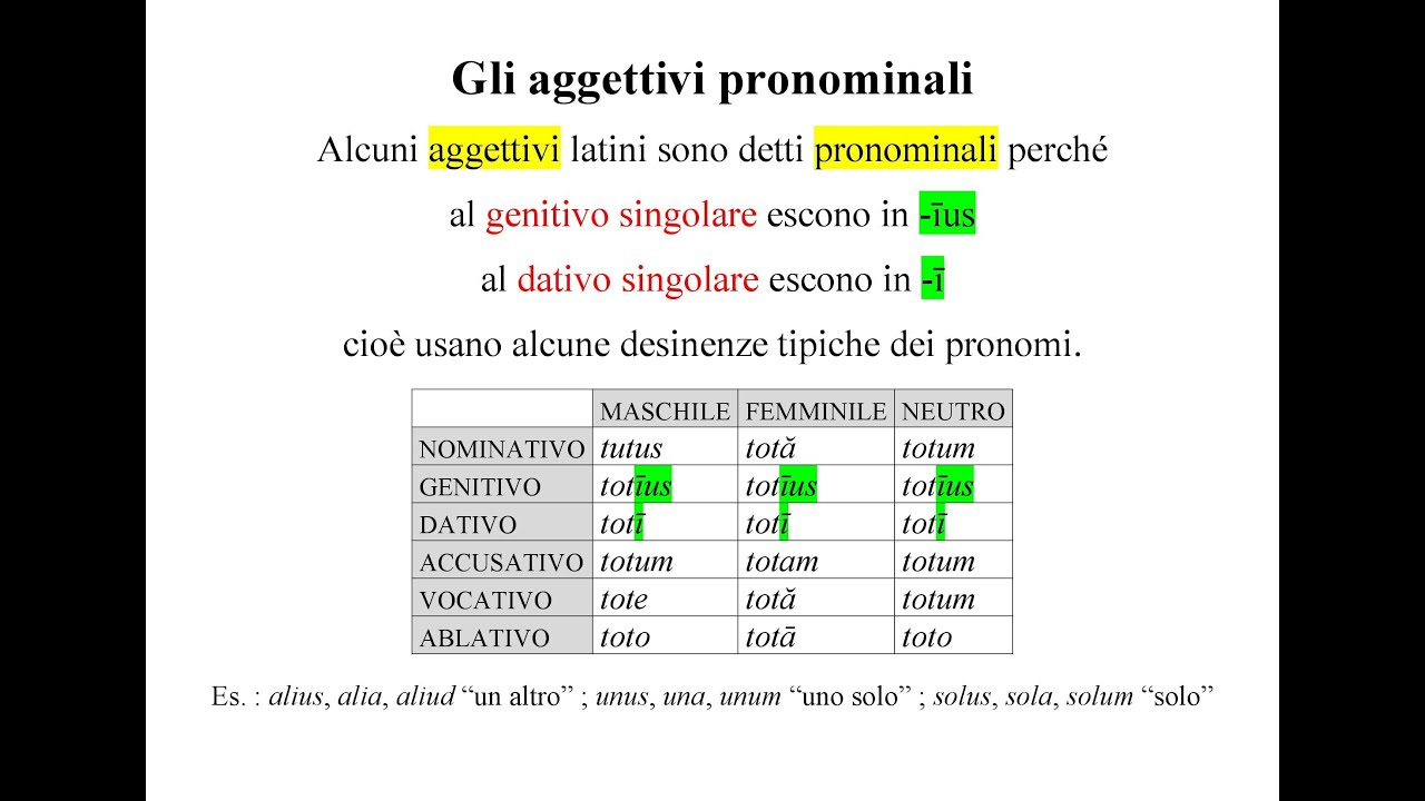 Che cosa sono gli aggettivi pronominali in Latino? - La risposta in 3 minuti!
