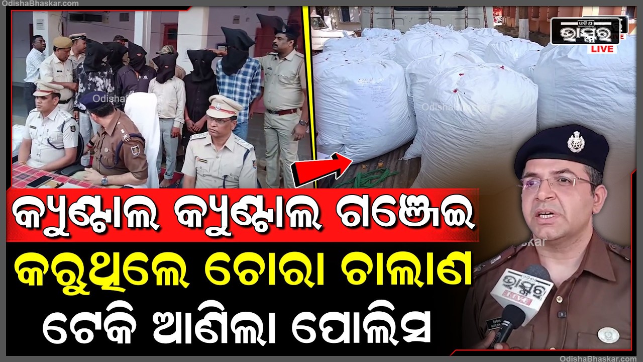 କ୍ୟୁଣ୍ଟାଲ କ୍ୟୁଣ୍ଟାଲ ଗଞ୍ଜେଇ କରୁଥିଲେ ଚୋରା ଚାଲାଣ ଅଭିଯୁକ୍ତଙ୍କୁ ଥାନାକୁ ଟେକି ଆଣିଲା ପୋଲିସ