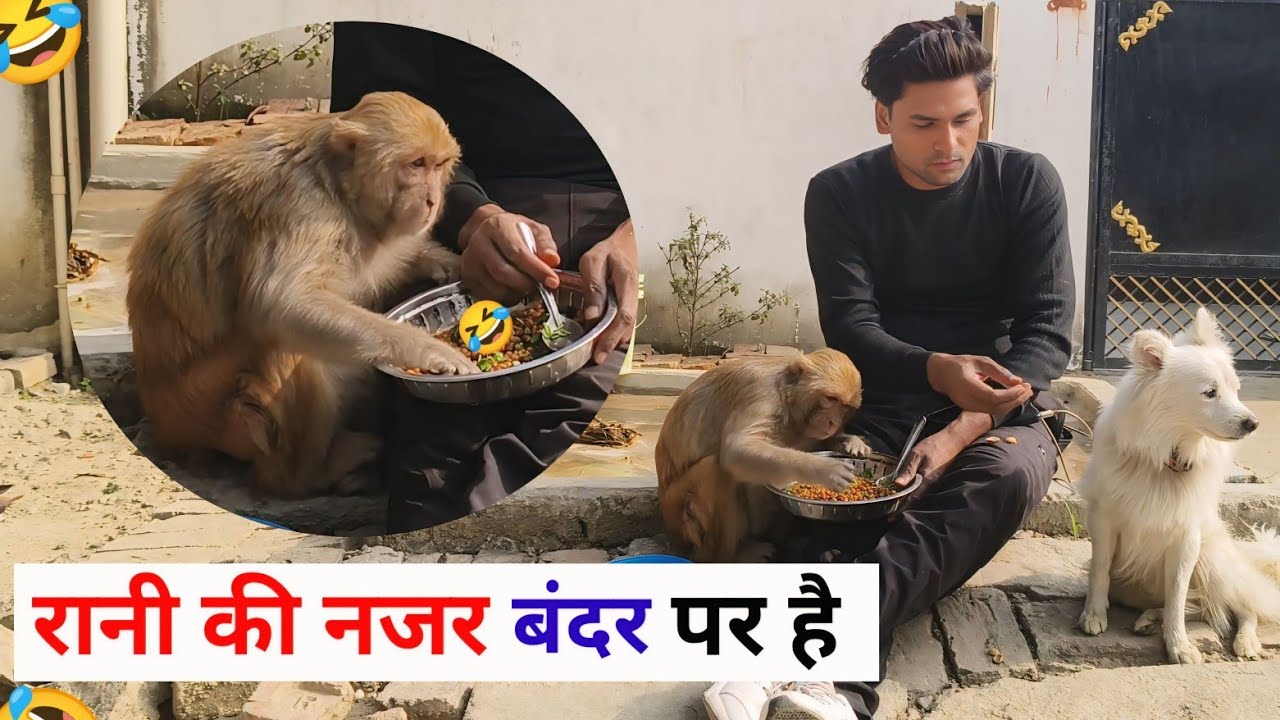 गोल्डन क्वीन आकाश एक साथ कैसे नष्ट करते हैं 😂।। @Queenrbl12345 