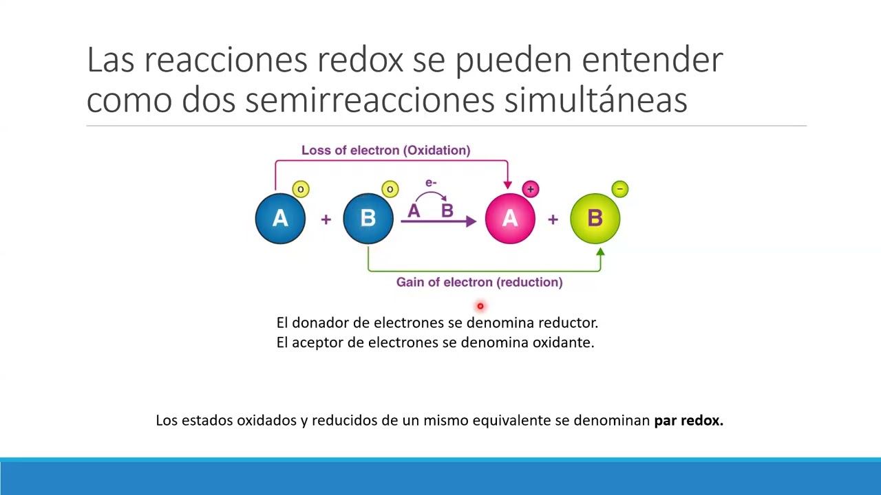 Bioenergética y metabolismo