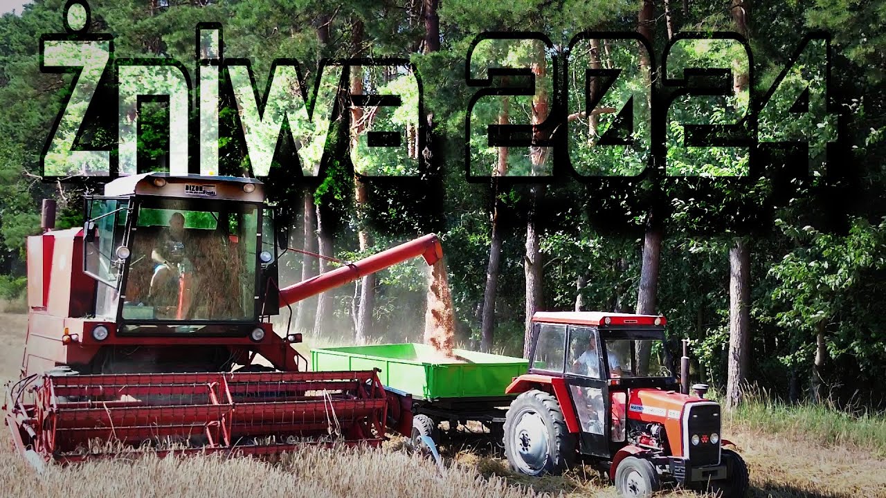 🌾Polskie Żniwa 2024🌾Pszenica, Pszenżyto🌾Bizon Z056&Ursus C360 &MF255🔥