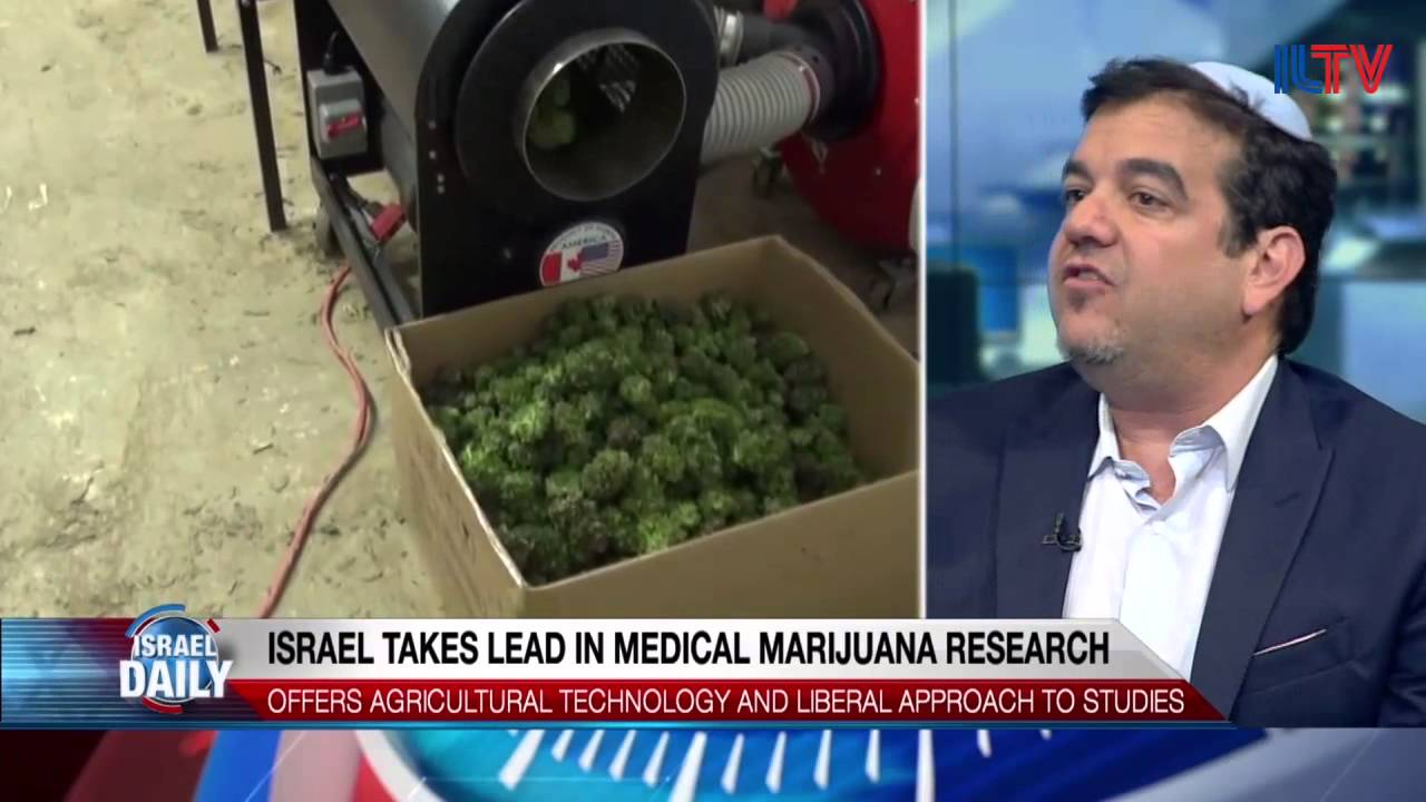 Explore Israel's Medical Cannabis Research With iCan