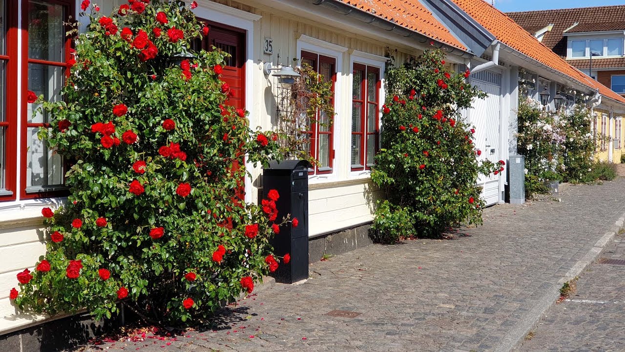 Varberg - Stadtansichten