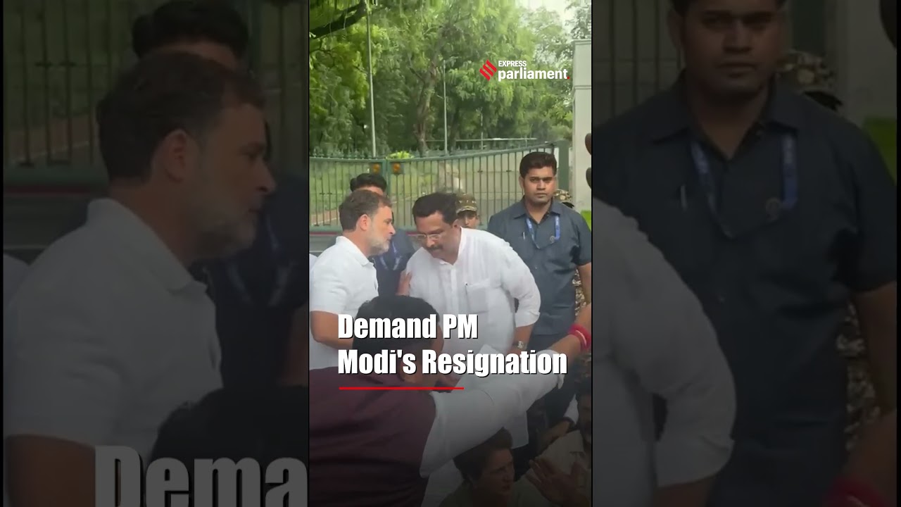 Congress MPs On Dharna, Demand PM Modi's Resignation