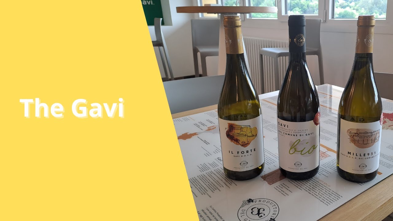 Discovering Gavi The Unexpected White Wine