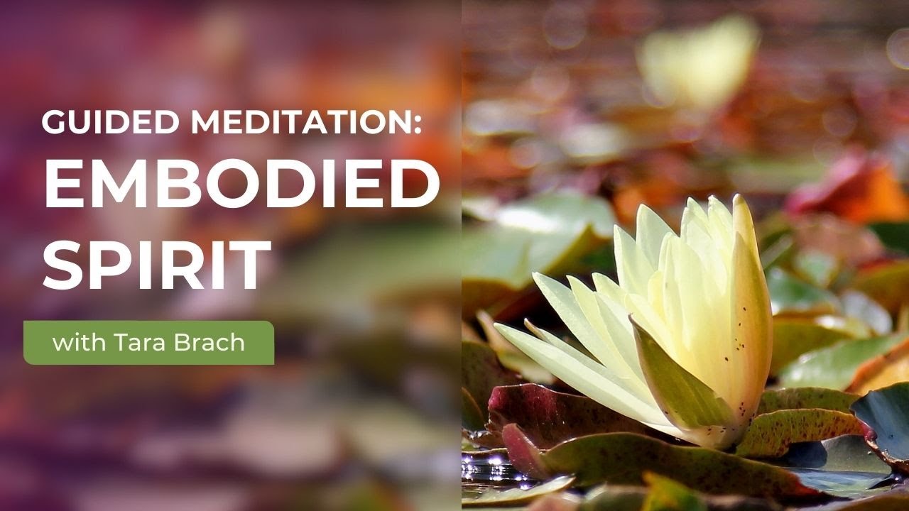 Guided Meditation: Embodied Spirit with Tara Brach