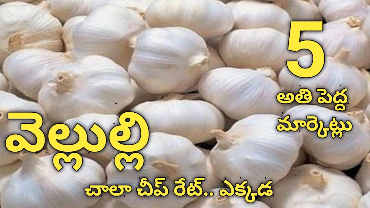 GARLIC Wholesale Business * అనుభవం తో పని లేని బిజినెస్