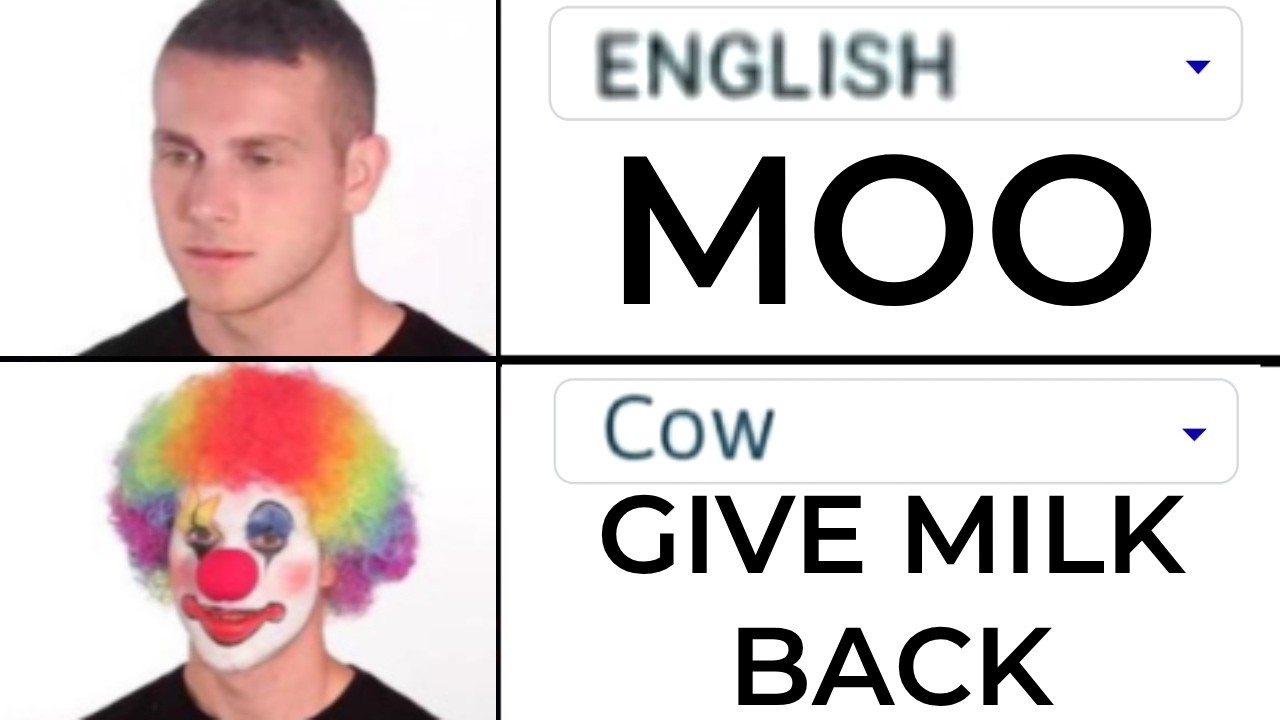 Memes About Languages