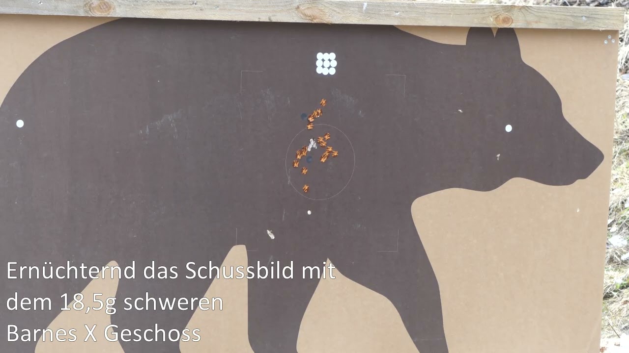Beschusstest mit bleifreien Geschossen im Kaliber 9,3 x 62