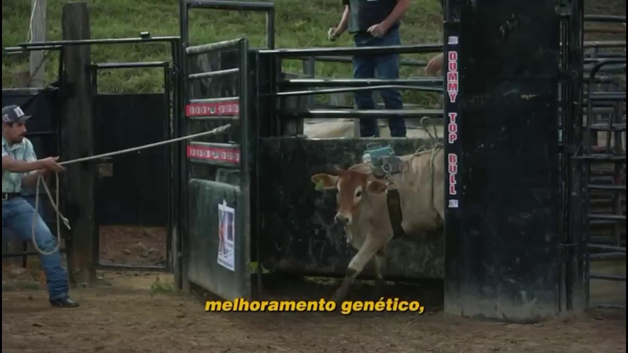 AGR MT   3 ETAPA