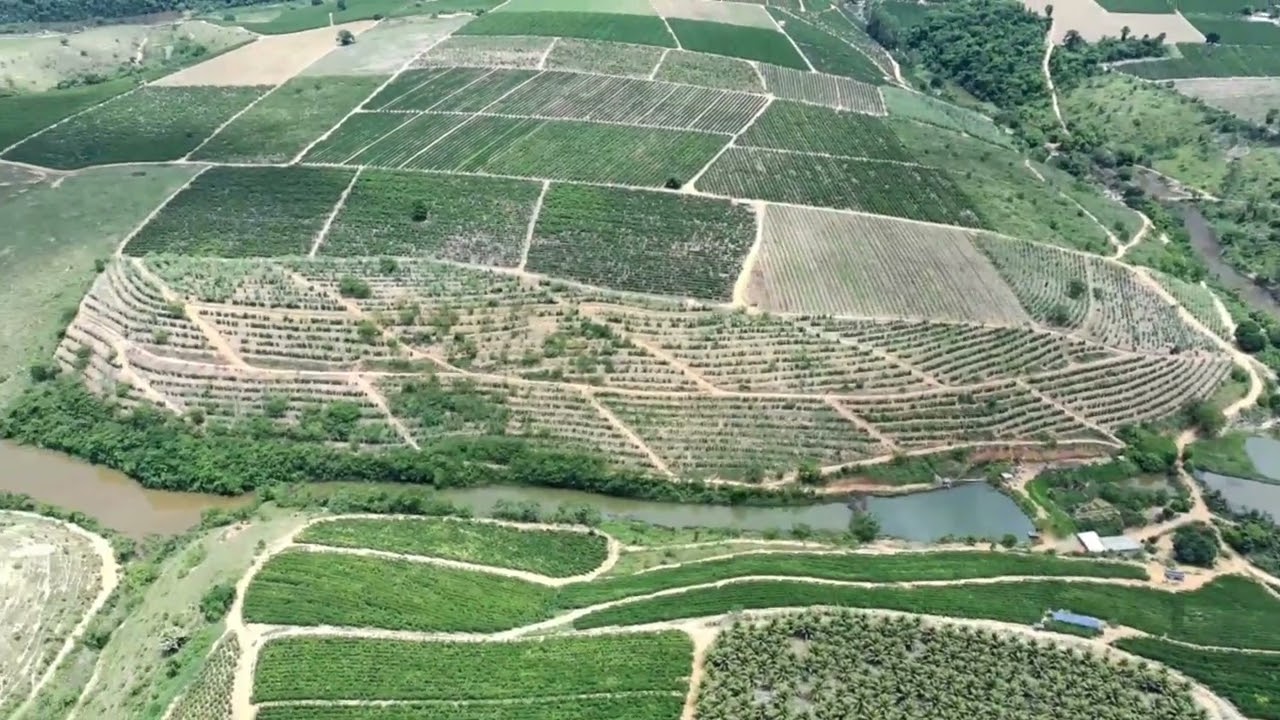 Fazenda estrelinha, João Faé