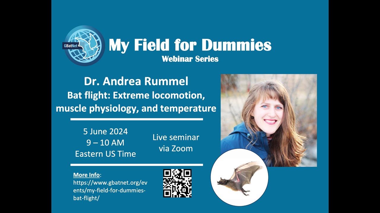 Locomotion, Muscle Physiology, and Temperature in Bats - 