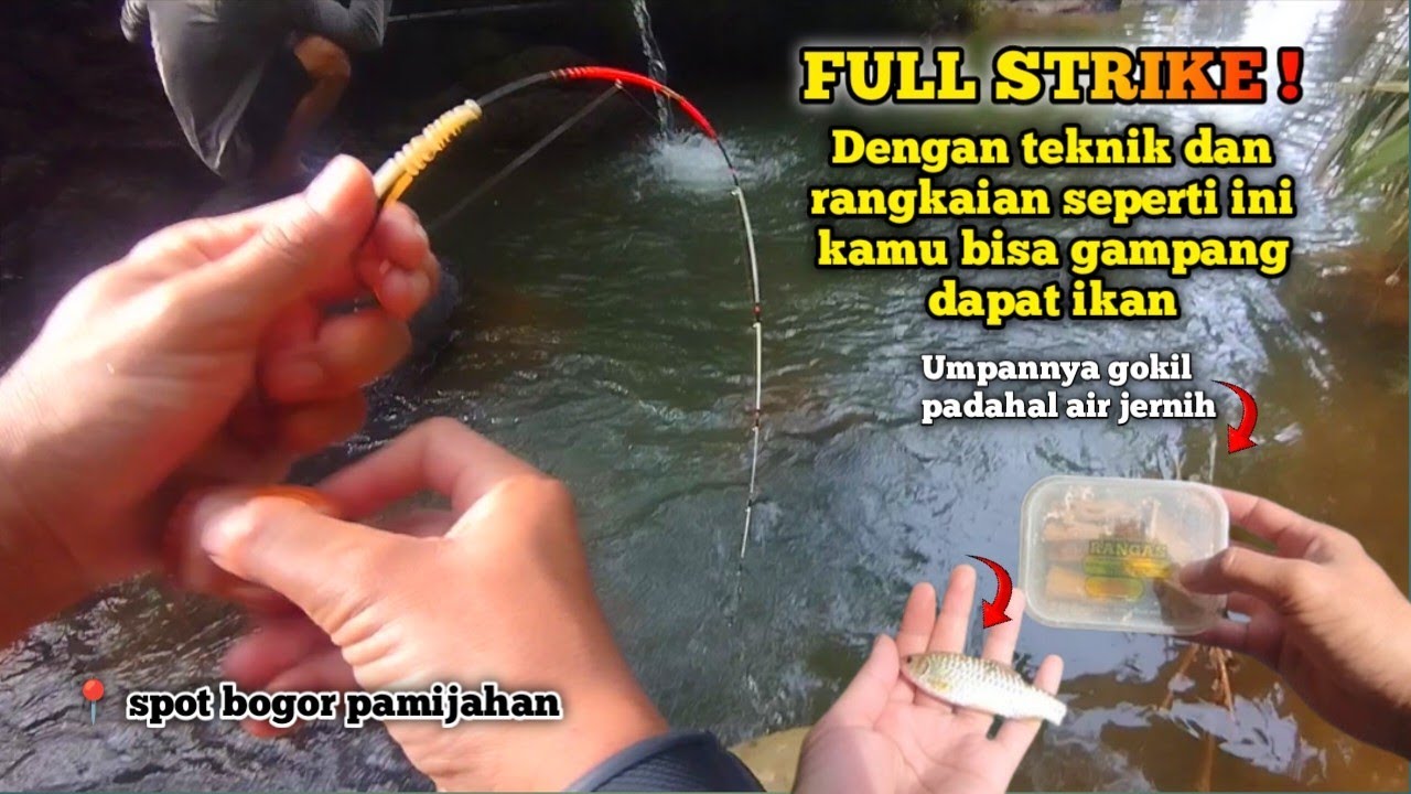 Rangkaian pancing wader arus deras paling ampuh anti mocel teknik pelampung - dijamin dapat banyak