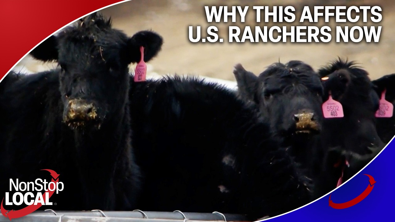 Trump just imported more beef from Argentina - what this means for U.S. ranchers