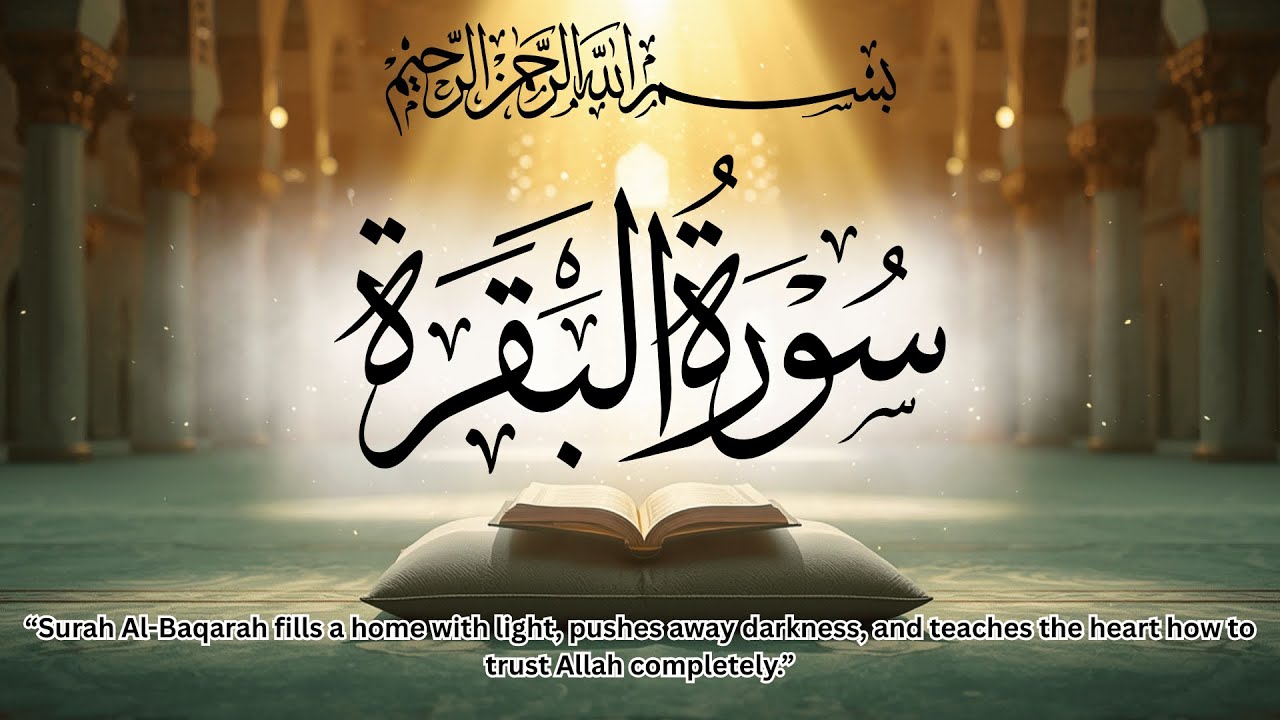 Surah Al-Baqarah Full | Beautiful & Peaceful Quran Recitation | Beauty Of Islam
