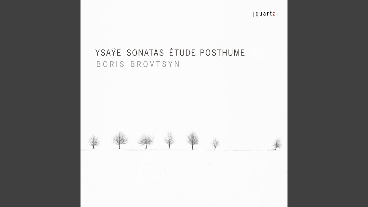 Violin Sonata in D Minor, Op. 27 No. 3 