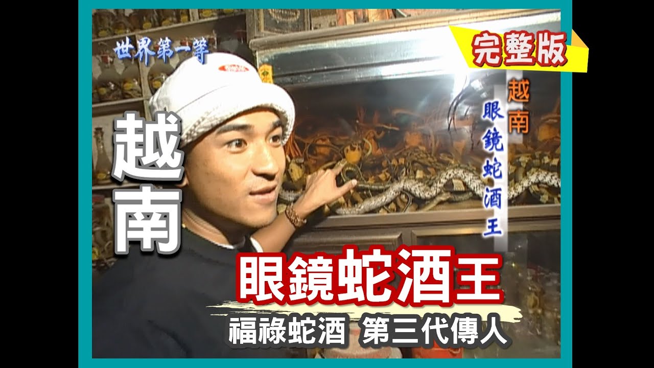 【越南】最補 眼鏡蛇酒王 / 野生大土龍｜《世界第一等》27集完整版