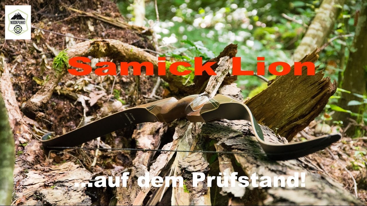 Samick Lion - Preiswerter Jagdrecurve im Test