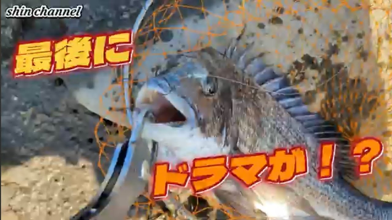 熊本県玉名市横島漁港と菊池川河口での釣り❢❢😆🖐️