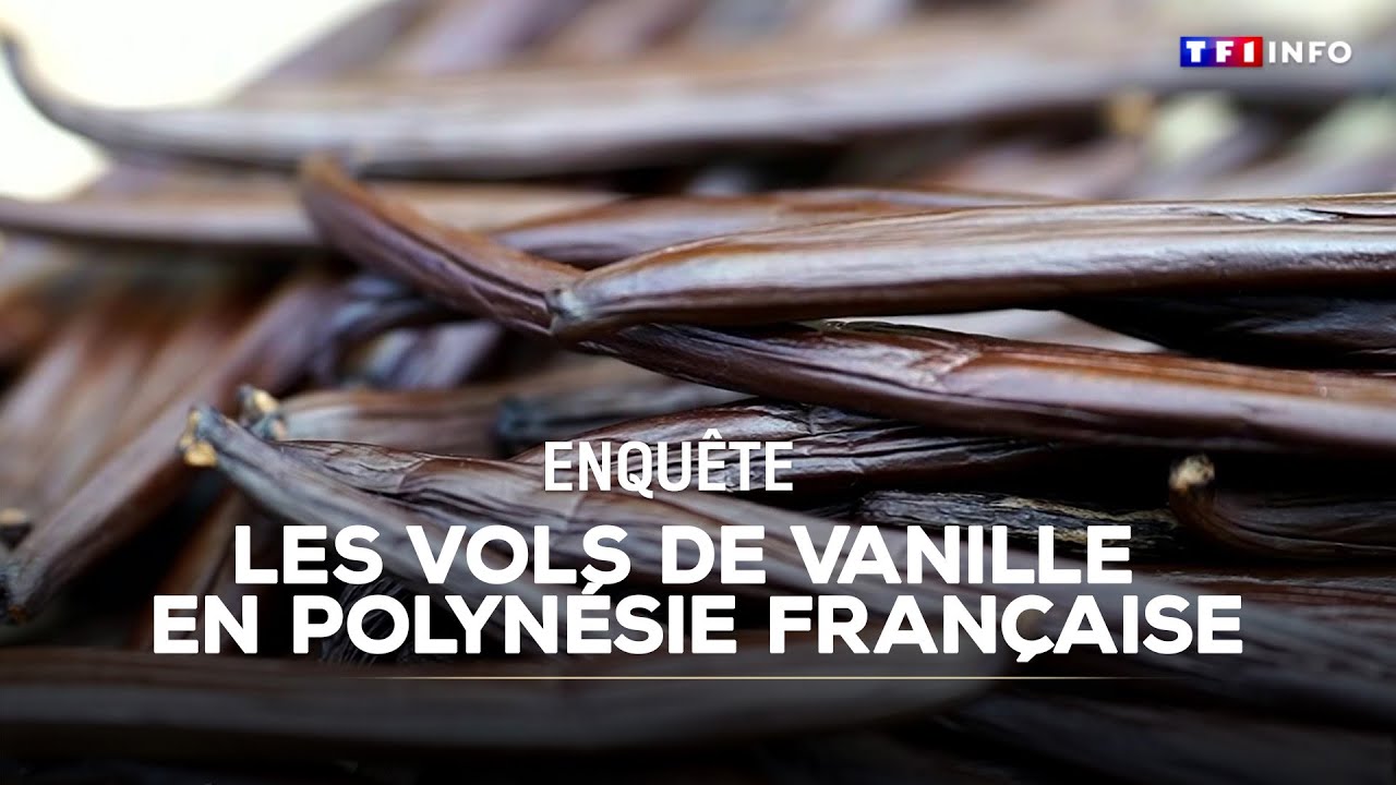 ENQUÊTE - Le phénomène des vols de vanille en Polynésie française｜TF1 INFO
