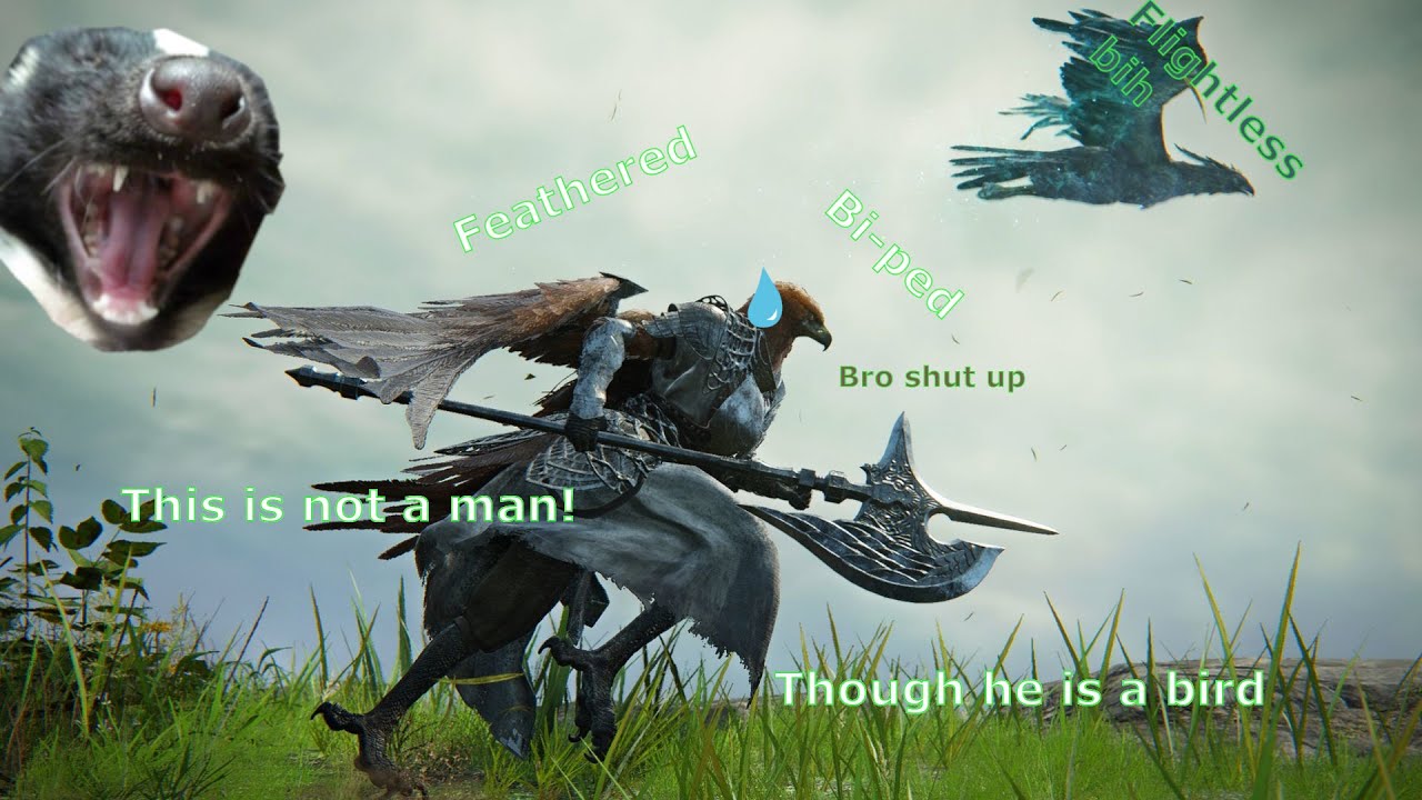 Can you BELIEVE how WEAK this bird is!? | Elden Ring Night Reign