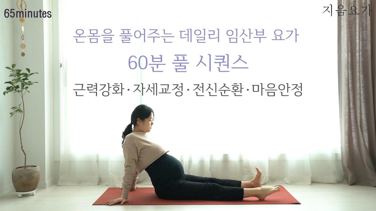 온몸을 풀어주는 데일리 임산부 요가 풀 시퀀스 (16주~40주) | 근력강화 • 자세교정 • 전신순환 • 마음안정 by.지음요가_202218