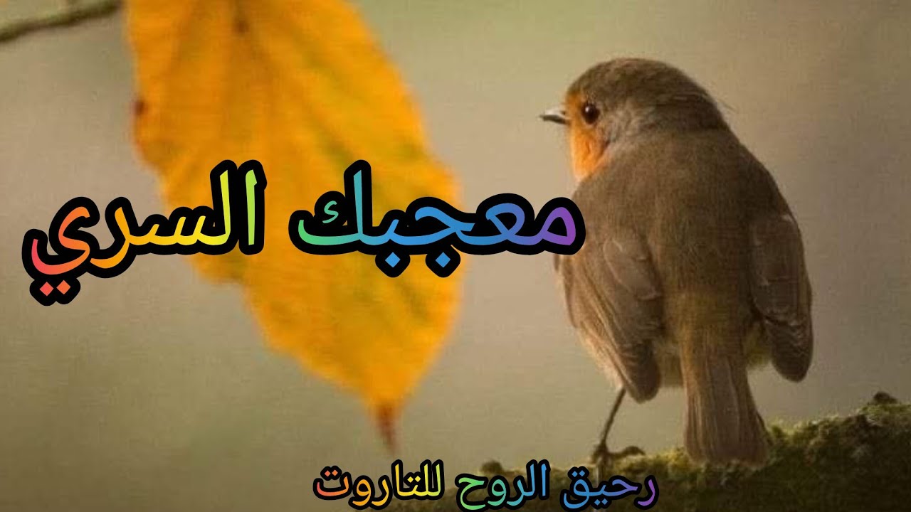 بدأت قناة 