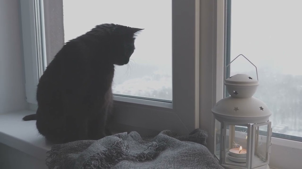 Cozy Snow - Citrus Avenue