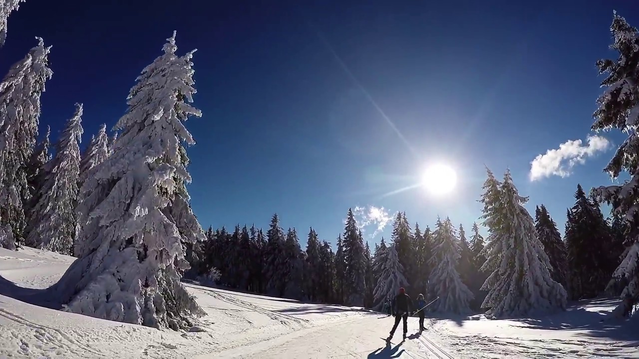 Champ Du Feu - 20160121 - Skating - Ski de Fond