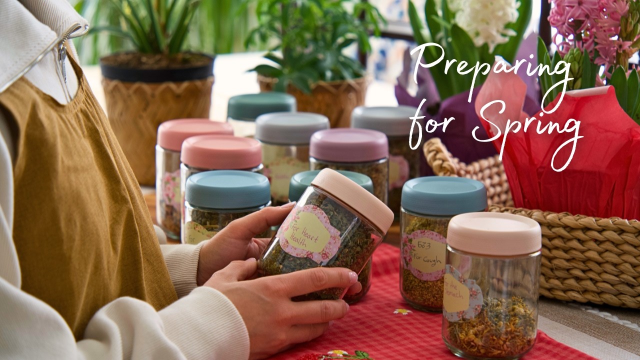 From Clutter to Cozy | Transforming My Tea Collection & Planning the Spring Garden | Winter Reset