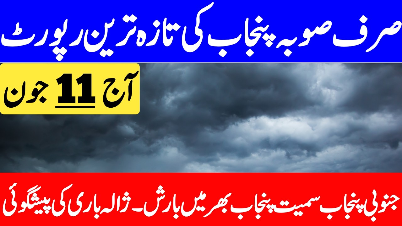 Pre Monsoon Rain's Alert : Widespread Rain's Prediction For Punjab | Punjab Weather Report