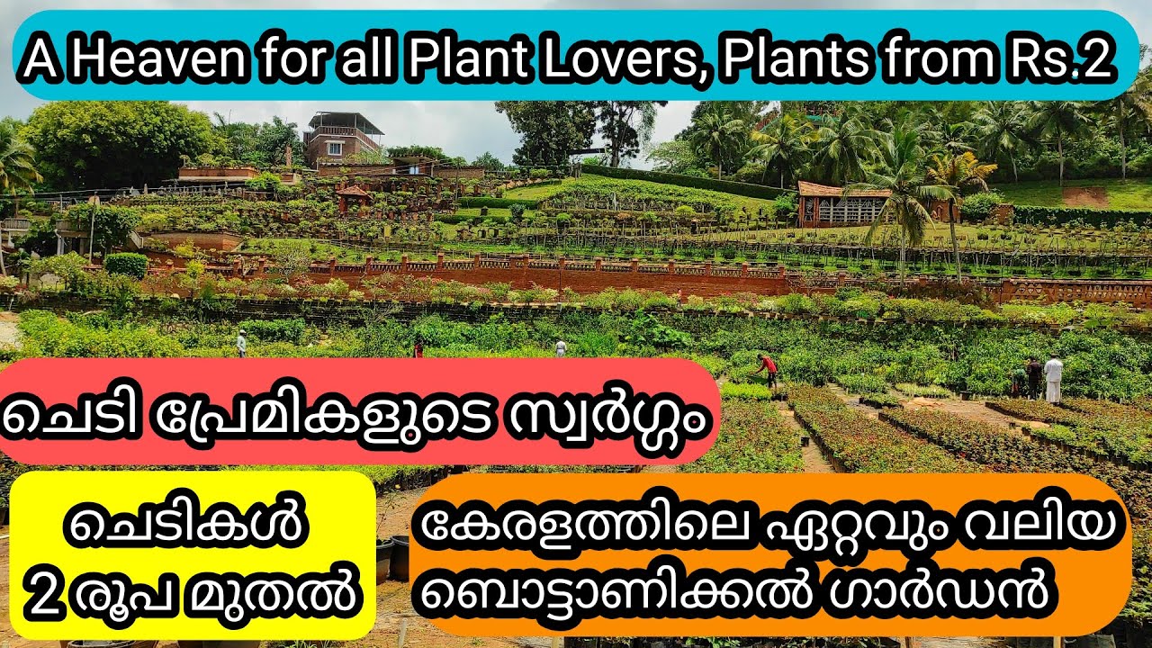 Kerala's Biggest Botanical Garden | Rose Garden | Indoor & Flowering Plants | Kuzhipallam Garden
