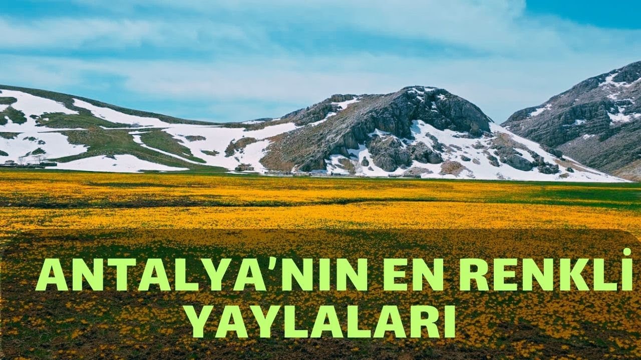 Fotoğrafçılar İçin Bir Cennet: Antalya Akseki’nin Çiğdemlerle Kaplı Yaylaları