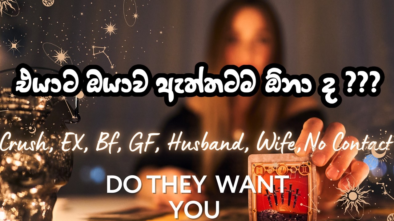 එයාට ඔයාව ඇත්තටම ඕනා ද ??💕💞💕Do they really WANT you in their life💖💘💞 💕💕 #tarotcardreadingsinhala