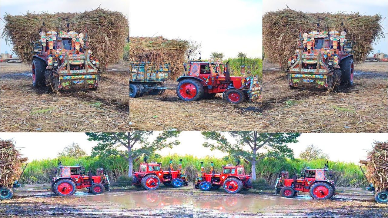 ٹریکٹر بلارس 510 اج بارش بھی ہائے اور وزن بھی 1400 من ہائے ٹریکٹر بھی چار ہیں اج پتہ چلے گا 