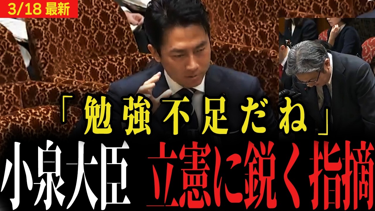 【立憲 赤っ恥】「勉強不足だね」小泉防衛大臣の指摘に顔を上げられなくなってしまう...【国会 爆笑】