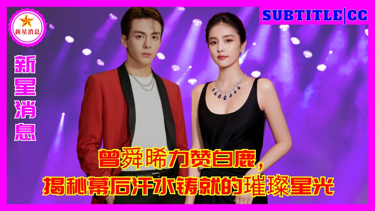 曾舜晞力赞白鹿，揭秘幕后汗水铸就的璀璨星光