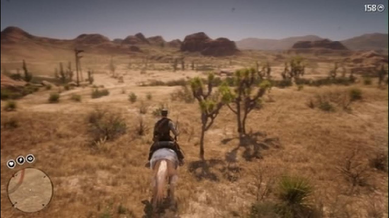 Getting revenge on the rio grande turkeys for mimmyboi