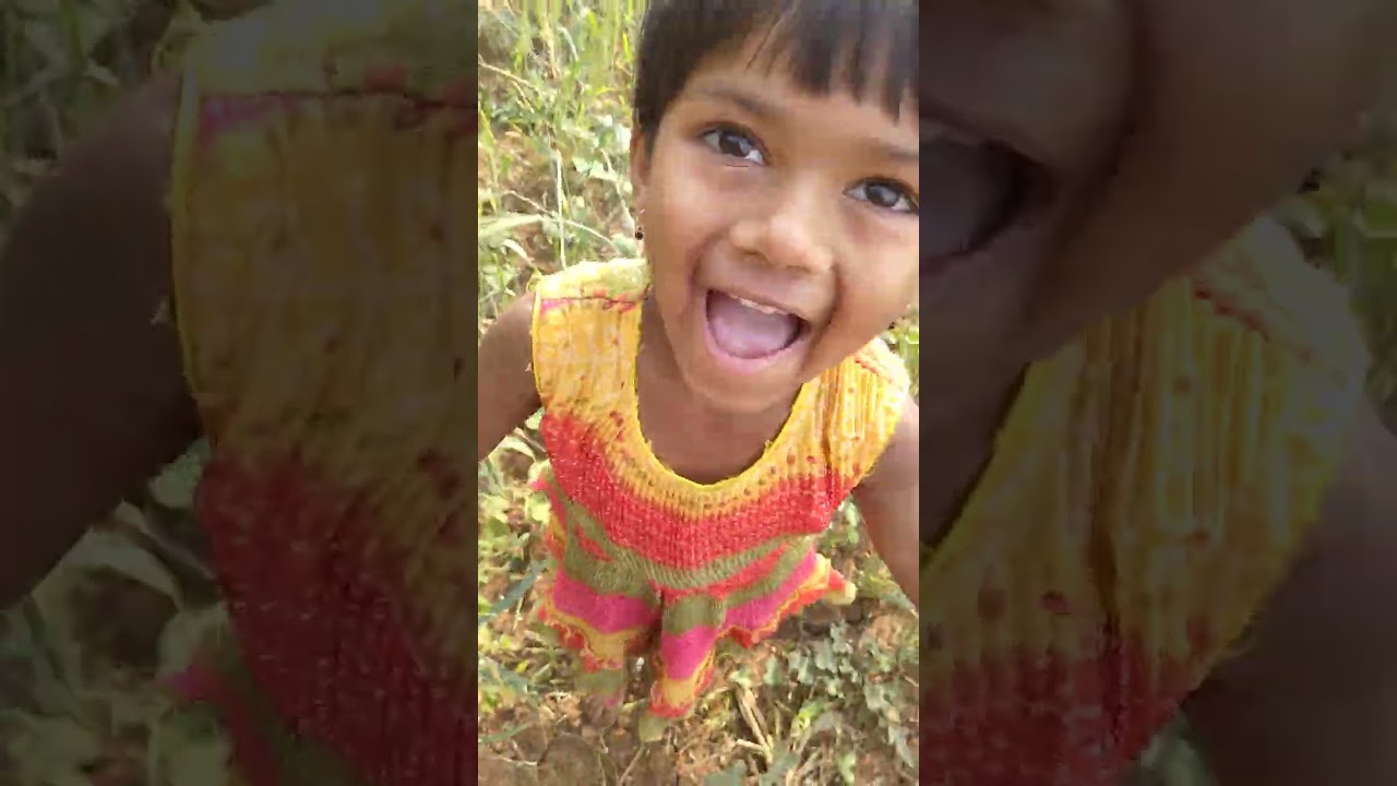कस्तुरी शेतामध्ये भाज्या तोडण्यासाठी गेलेले आहे