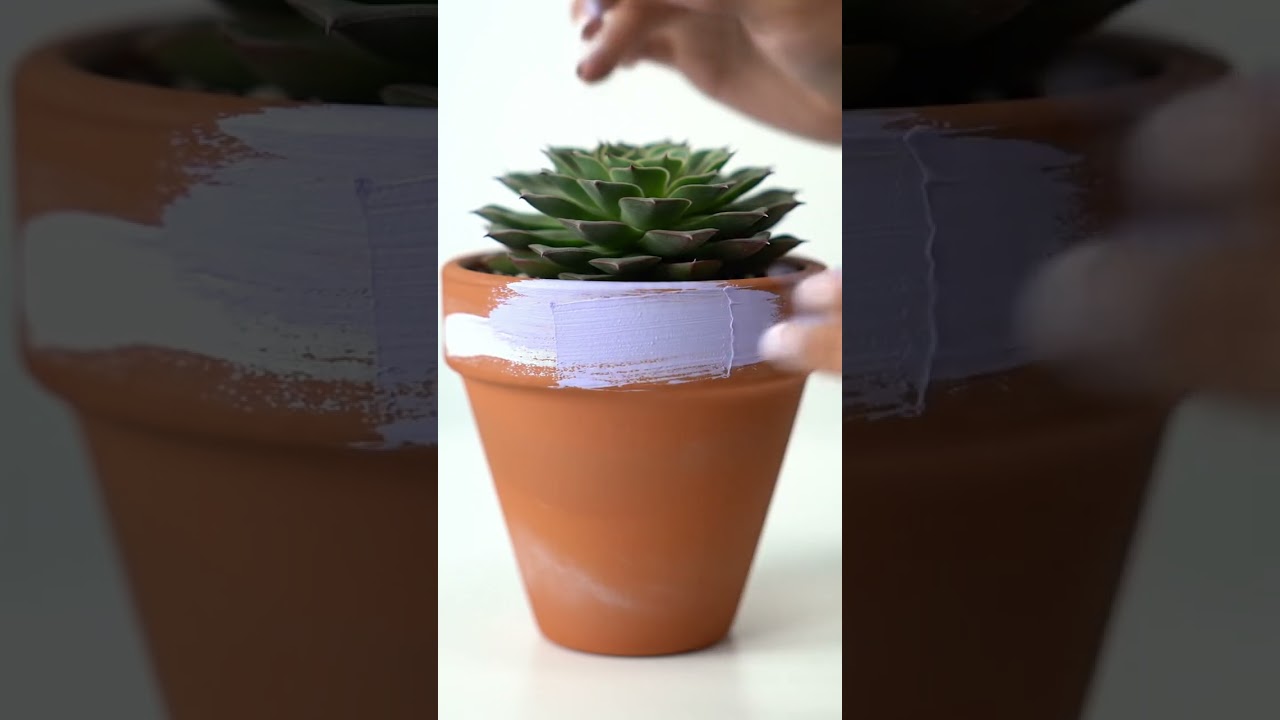 Aesthetic Planter DIY Hack You Need to Try
