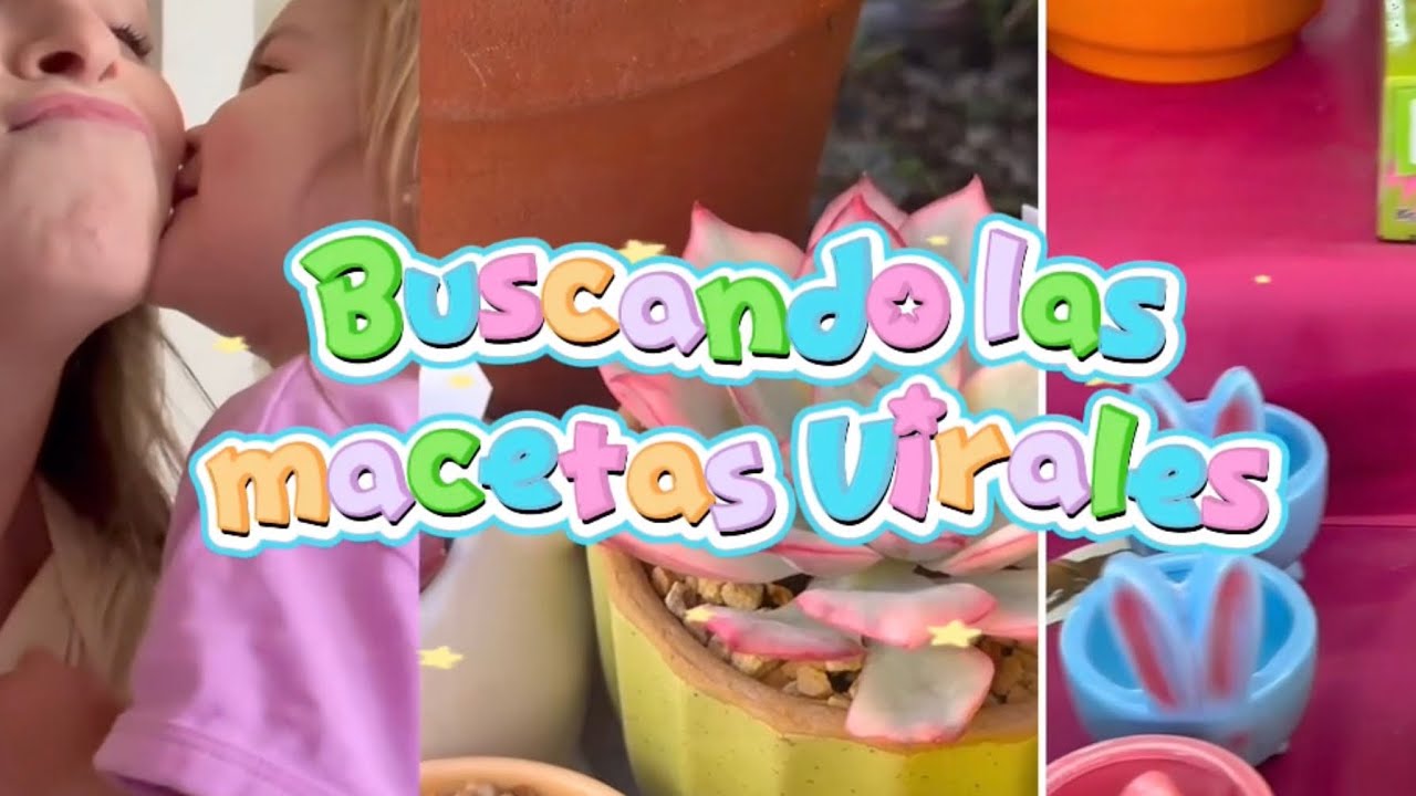 Buscando las macetas virales!. Nidos de colibrí. Update jardín. 